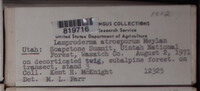 Image Associated With the Occurence